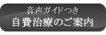 音声ガイドつき自費治療のご案内