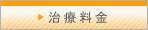 治療料金