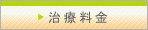 治療料金