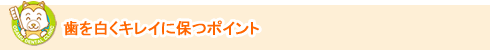 歯を白くキレイに保つポイント