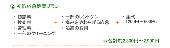 初診応急処置プラン